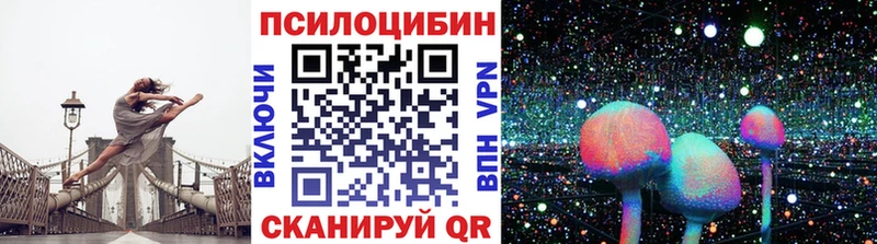 Псилоцибиновые грибы Psilocybine cubensis  закладка  Октябрьск 