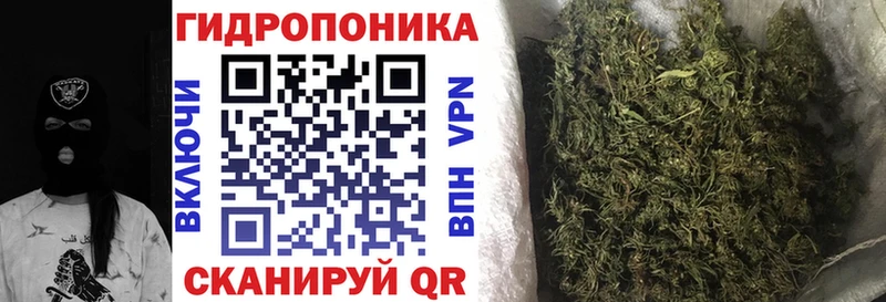 Бошки марихуана планчик  Октябрьск 